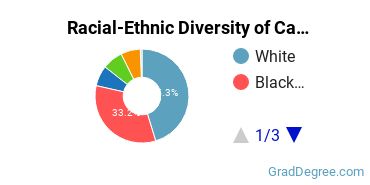 Graduate Racial-Ethnic Diversity at Capitol Technology University