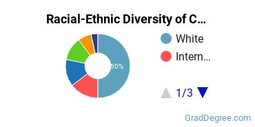 Graduate Racial-Ethnic Diversity at The Catholic University of America