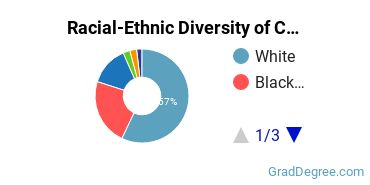 Graduate Racial-Ethnic Diversity at Charleston Southern University
