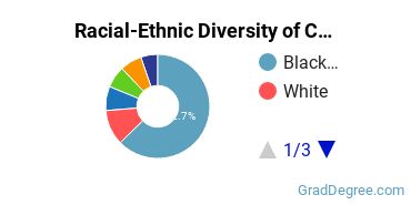 Graduate Racial-Ethnic Diversity at CSU