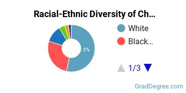 Graduate Racial-Ethnic Diversity at Chicago Theological Seminary