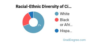 Graduate Racial-Ethnic Diversity at City Vision University