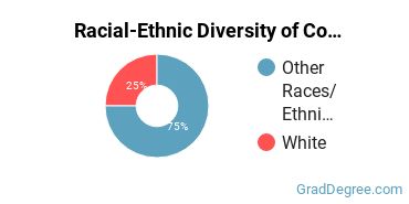 Graduate Racial-Ethnic Diversity at Colby-Sawyer