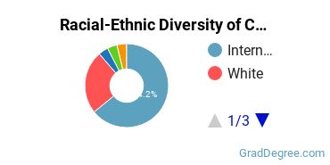 Graduate Racial-Ethnic Diversity at CCS