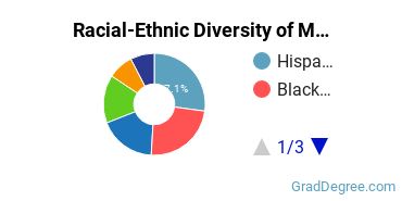 Graduate Racial-Ethnic Diversity at UMSV