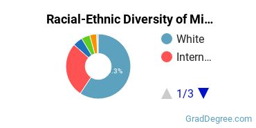 Graduate Racial-Ethnic Diversity at Mines