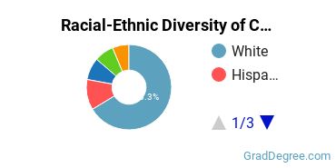 Graduate Racial-Ethnic Diversity at CCMU