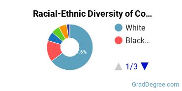 Graduate Racial-Ethnic Diversity at Columbia College Missouri