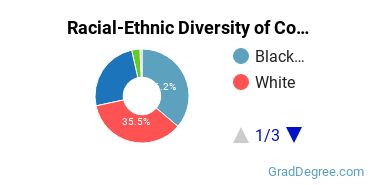 Graduate Racial-Ethnic Diversity at Columbia College South Carolina