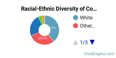 Graduate Racial-Ethnic Diversity at Columbia Southern University