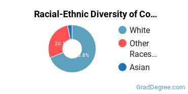 Graduate Racial-Ethnic Diversity at Concordia College at Moorhead