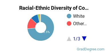 Graduate Racial-Ethnic Diversity at CUAA