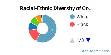 Graduate Racial-Ethnic Diversity at Concordia University Chicago