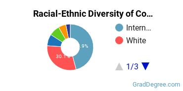 Graduate Racial-Ethnic Diversity at Cornell University