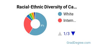 Graduate Racial-Ethnic Diversity at Cranbrook Academy of Art