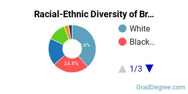 Graduate Racial-Ethnic Diversity at CUNY Brooklyn College