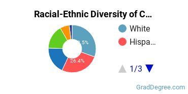 Graduate Racial-Ethnic Diversity at CUNY City College