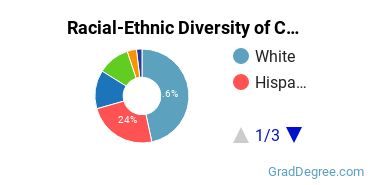 Graduate Racial-Ethnic Diversity at CUNY Law