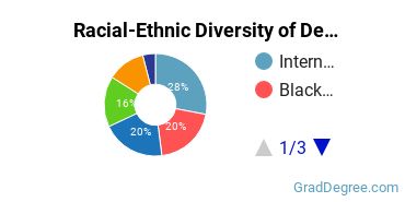 Graduate Racial-Ethnic Diversity at DeVry University-Iselin