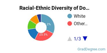 Graduate Racial-Ethnic Diversity at Dominican University New York