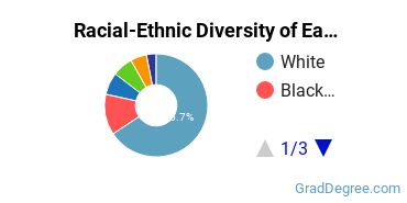 Graduate Racial-Ethnic Diversity at Eastern Michigan University