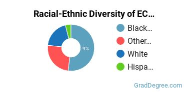 Graduate Racial-Ethnic Diversity at ECSU