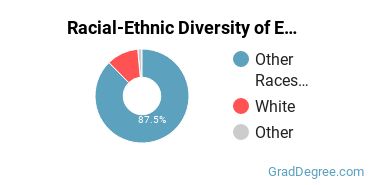 Graduate Racial-Ethnic Diversity at Emory & Henry University