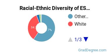 Graduate Racial-Ethnic Diversity at ESU E-State