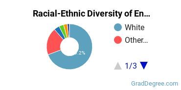 Graduate Racial-Ethnic Diversity at Endicott College