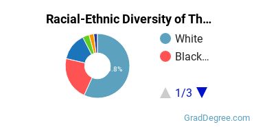 Graduate Racial-Ethnic Diversity at The Erikson Institute
