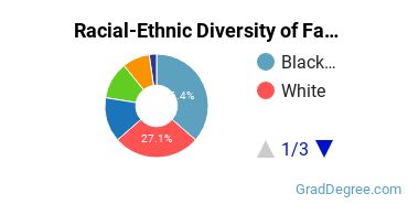 Graduate Racial-Ethnic Diversity at Faith Seminary