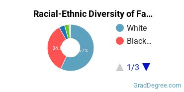 Graduate Racial-Ethnic Diversity at Faulkner