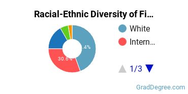 Graduate Racial-Ethnic Diversity at Five Towns College