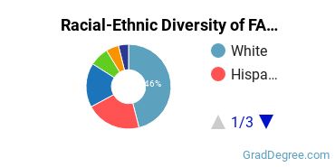 Graduate Racial-Ethnic Diversity at FAU