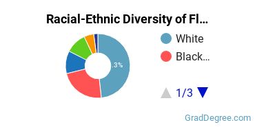 Graduate Racial-Ethnic Diversity at Florida Tech - Online