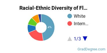 Graduate Racial-Ethnic Diversity at Florida Tech