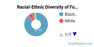 Graduate Racial-Ethnic Diversity at Fort Valley State University