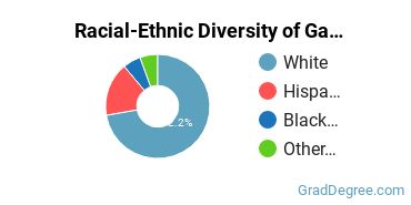 Graduate Racial-Ethnic Diversity at Galen College of Nursing-Louisville