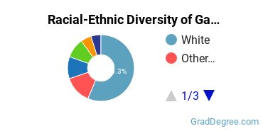 Graduate Racial-Ethnic Diversity at Gallaudet University