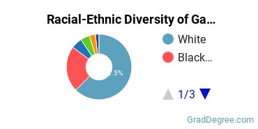 Graduate Racial-Ethnic Diversity at Georgia Southern University