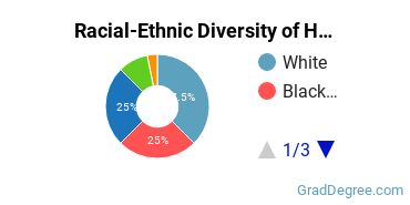 Graduate Racial-Ethnic Diversity at Hallmark University
