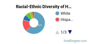 Graduate Racial-Ethnic Diversity at Hardin-Simmons University