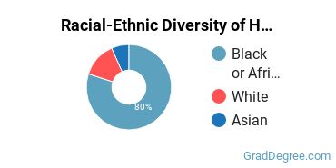 Graduate Racial-Ethnic Diversity at Herzing University-Birmingham