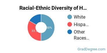 Graduate Racial-Ethnic Diversity at Herzing University-Brookfield