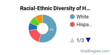 Graduate Racial-Ethnic Diversity at Herzing University-Kenosha