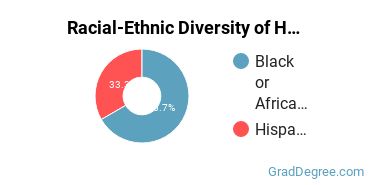Graduate Racial-Ethnic Diversity at Herzing University-Orlando