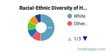 Graduate Racial-Ethnic Diversity at Hofstra University