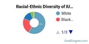 Graduate Racial-Ethnic Diversity at Indiana University-Northwest