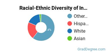 Graduate Racial-Ethnic Diversity at Institute of American Indian Arts
