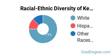 Graduate Racial-Ethnic Diversity at Kent State University at Stark